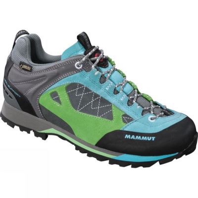 Botas de Montaña Mammut Ridge Low GTX Hombre Multicolor - Chile LWD795413